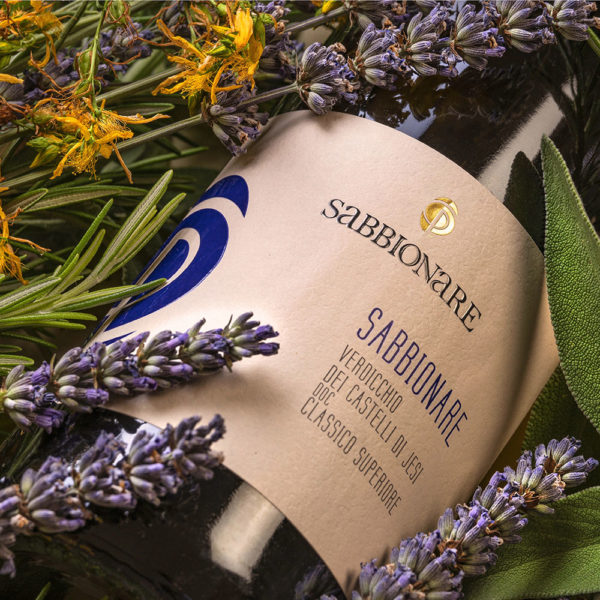 Sabbionare - immagine 3